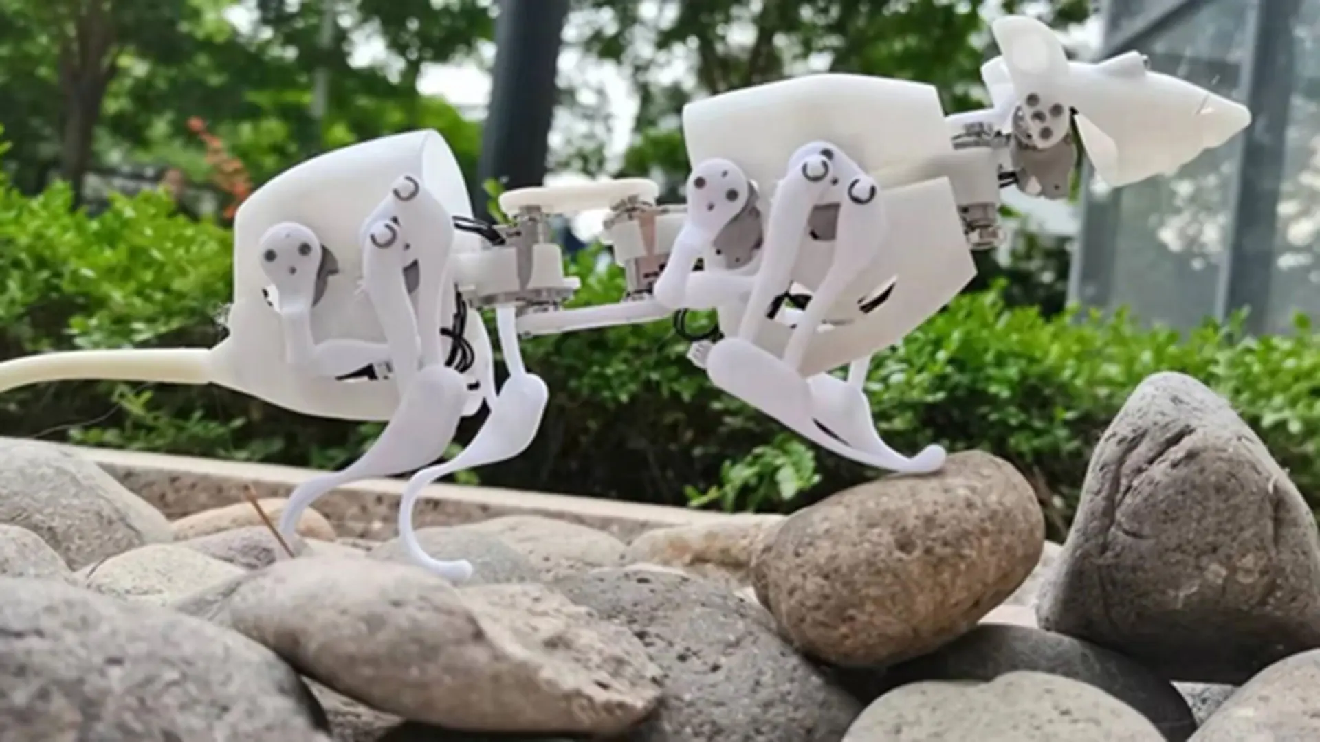 Investigadores se atreven inventando una rata robot, y puede hacer todo ...