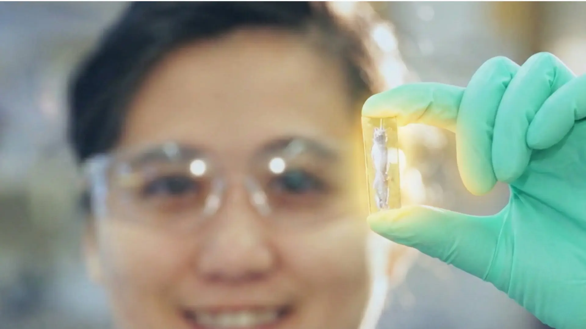 Estudiante creó por accidente una batería recargable que podría durar 400 años: "Esta cosa lleva 10.000 ciclos y sigue funcionando"