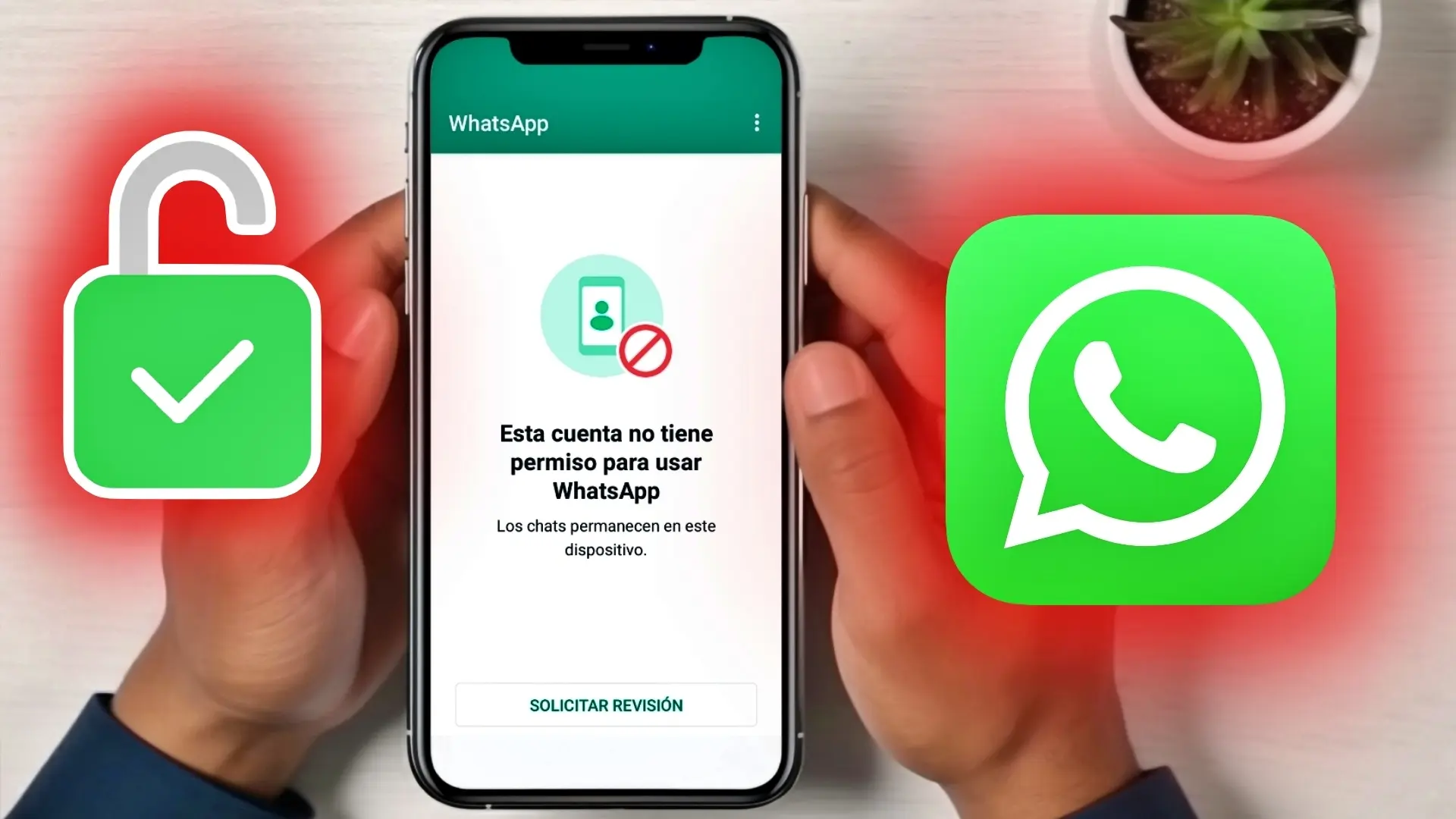 Cuenta suspendida de WhatsApp: qué hacer si recibes este mensaje, posibles motivos y cómo recuperarla